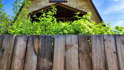 brown old fence in the sun during the day in rural or rustic nature. Background, natural texture, pattern, frame and copy space