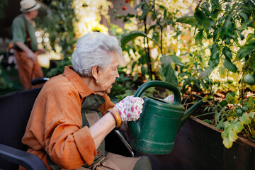 Portrait of senior woman taking care of vegetable plants in urban garden.