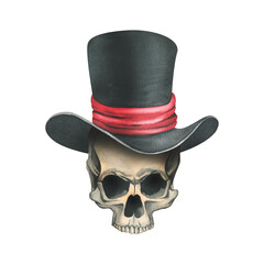 A human skull without a lower jaw in a black top hat with a red ribbon. Hand drawn watercolor illustration for day of the dead, halloween, Dia de los muertos. Isolated object on a white background.