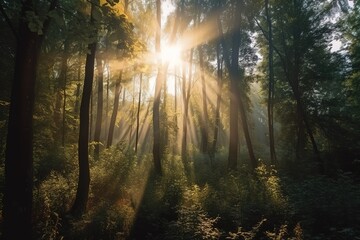 the sun shines through the trees in the forest on a sunny day. Generative AI
