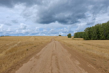 Fototapeta premium The road goes to the horizon through the field 