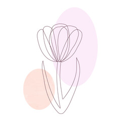 One line style flower, one line tulip, abstract background