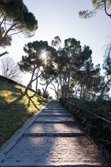 path in the park, sunrise in Madrid