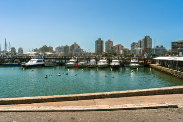 Boats in harbor of Punta del Este, Uruguay. 