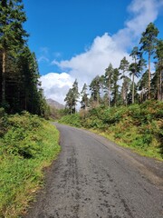 road to the mountains