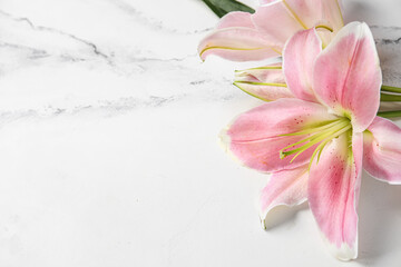 Beautiful lily flowers on white marble background