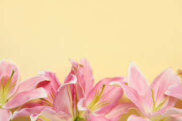 Beautiful lily flowers on yellow background