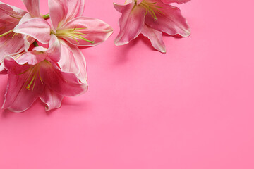 Obraz na płótnie Canvas Beautiful lily flowers on pink background