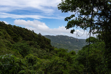 Fototapeta na wymiar View From The Canopy of a Rainforest in St Lucia
