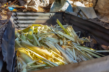 Four traditionnel polynésien 'ahima'a