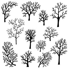 Obraz premium A set of doodle trees, a drawing of black trees on a white background, a drawn forest