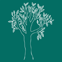 tree illustration, tree sketch, drawn white tree on green background