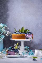 Sweet creamy blueberry cheesecake with cut piece on a light background, berry pie. French cuisine