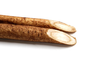 Burdock Root (Gobo) on white background.