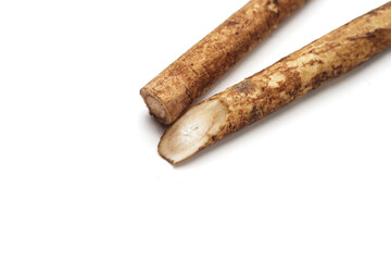 Burdock Root (Gobo) on white background.