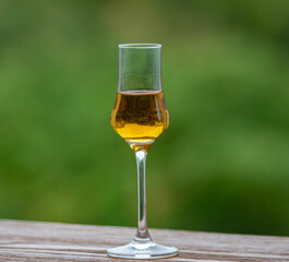 Single malt scotch whisky in selective focus and minimalistic photo. Space for text