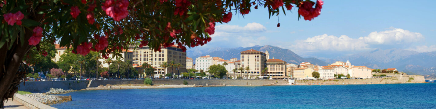 Panoramic view of the Ajaccio with main quay and public beach and red flowers in foreground. Ajaccio. South Corsica, France.