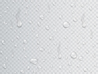 Water rain drops or steam shower isolated on transparent background. Realistic pure droplets condensed texture. Vector clear vapor bubbles on glass surface