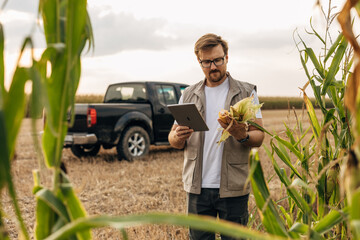 Farmer is standing in the field and holding a tablet and corn.