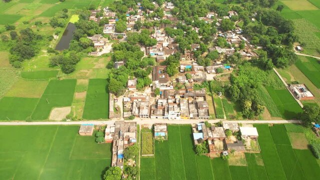 Small village houses surrounded by lush green fields