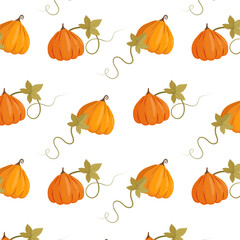 Seamless pattern of pumpkins. Autumn vibe pumpkin pattern in cartoon style.