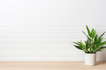 Modern working empty white desk with one green plant. plain white background and table top for mockups.