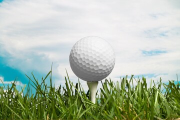 Golf white ball on tee on green grass