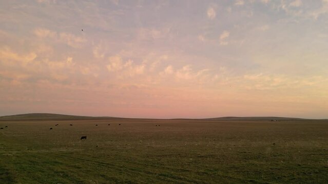 Atardecer en el campo 