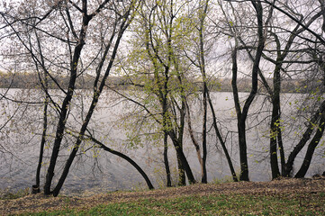 Fototapeta na wymiar autumn view of the Moscow river