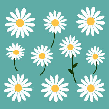 A Various White Daises Cartoon Illustration Set with a Seamless Pattern of White Camomiles: Part of the Spring Set Collection Featuring Hand-Drawn Elements.

