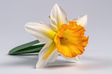 "Daffodil Delight: Burst of Sunshine". Digital poster. Generative ai.