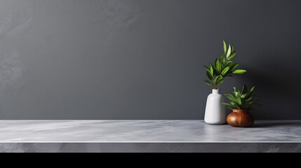 plant in a vase on marble shelf with minimal black background for product display