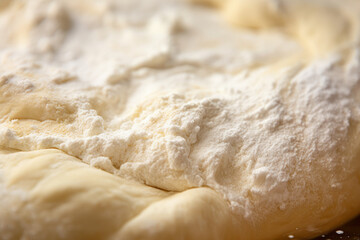 A Close-up Magnified View of Rising Bread Dough, Capturing the Yeast Activity and Texture Transformation
