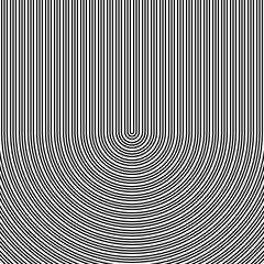 Obraz premium Black circular lines on white background. Striped wallpaper. Surface pattern design with symmetrical linear ornament. Stripes motif. Digital paper with curves for page fills, designing, textile print.