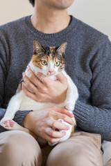 猫　イメージ用