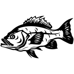silhouette fish on a white background, vector illustration