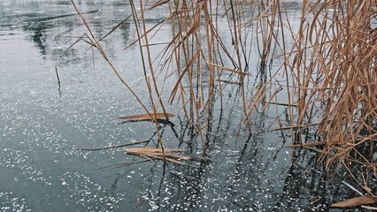 Thin Ice Surface of Winter Frozen Lake with Trapped Air Bubbles
