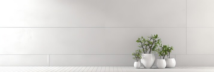 Modern interior design wall mockup with copy space. Houseplants in pots 