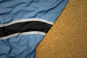 wheat grain on the waving colorful big national flag of botswana .