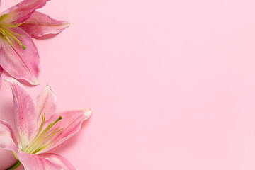 Fototapeta na wymiar Beautiful lily flowers on pink background