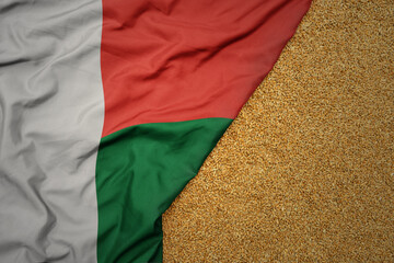 wheat grain on the waving colorful big national flag of madagascar . - obrazy, fototapety, plakaty