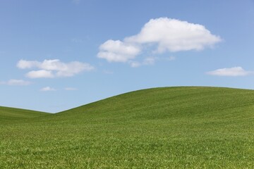 Fototapeta premium Landscape in Odder, Denmark