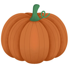 Cute pumpkins in autumn used as an illustration