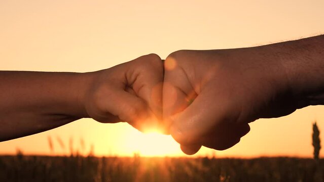 hand fist trust, agreement deal people, teamwork hands of businessmen at sunset, group of people winners made a deal, sign symbol consent, kalak hand silhouette, businessman consent gesture.