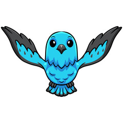 Cute spangled cotinga bird cartoon flying