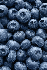 Wet fresh blueberries as background, top view