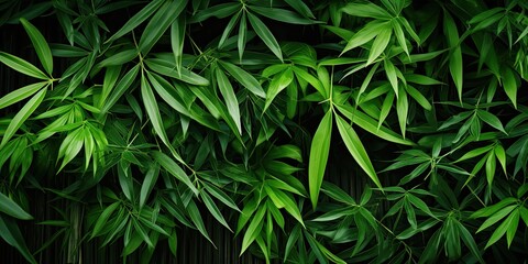 illustration of tropical leaves, bamboo, generative AI - obrazy, fototapety, plakaty