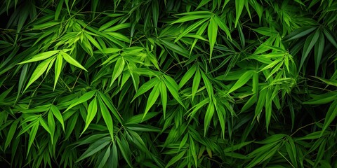 Fototapeta premium illustration of tropical leaves, bamboo, generative AI