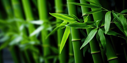 Fototapeta na wymiar illustration of tropical leaves, bamboo, generative AI