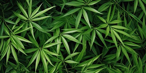 illustration of tropical leaves, bamboo, generative AI - obrazy, fototapety, plakaty